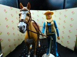 jane west horse view